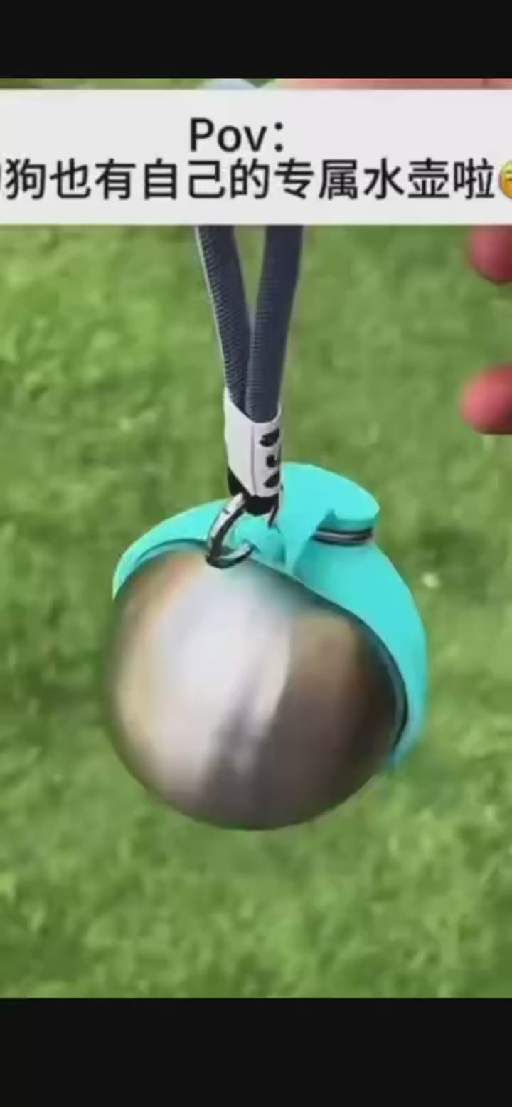 Leak-Proof Dog Water Bottle for Walks & Travel